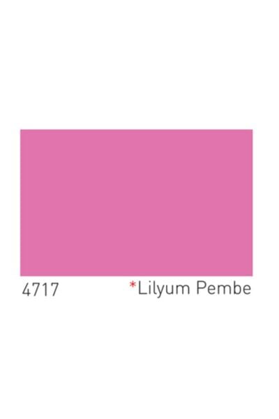 Dyo Dyoplast Silikonlu 2,5''Lt (Lilyum Pembe)