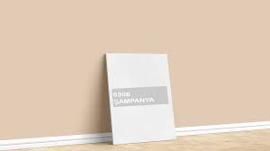 Dyo Dyoplast Silikonlu 2,5''Lt  (Şampanya)