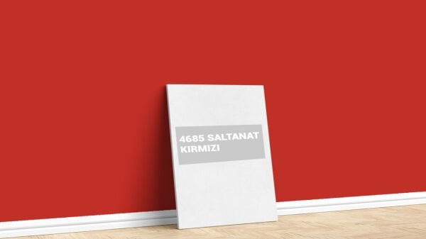 Dyo Dyoplast Silikonlu 2,5''Lt (Saltanat Kırmızısı)